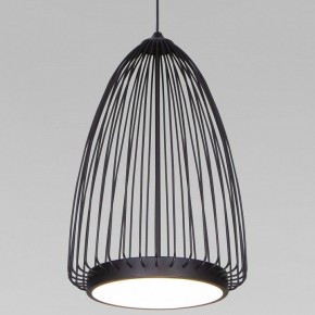 Подвесной светильник Eurosvet Comodita 40009/1 LED черный в Озерске - ozersk.mebel24.online | фото