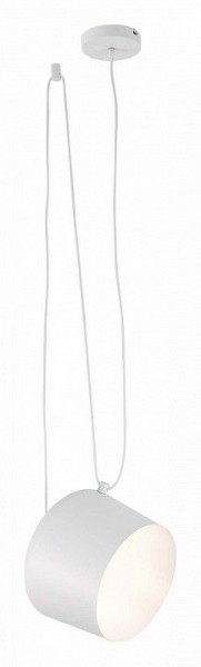 Подвесной светильник EVOLUCE Trieste SLE120653-01 в Озерске - ozersk.mebel24.online | фото 3
