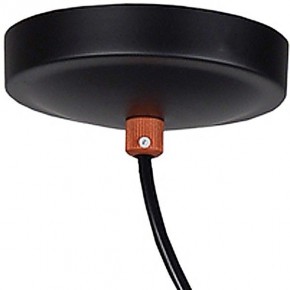 Подвесной светильник Favourite Ampolla 2007-1P в Озерске - ozersk.mebel24.online | фото 4