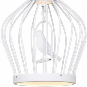 Подвесной светильник Favourite Chick 1931-2P в Озерске - ozersk.mebel24.online | фото 3