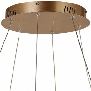 Подвесной светильник Favourite Hexagon 2103-14P в Озерске - ozersk.mebel24.online | фото 5