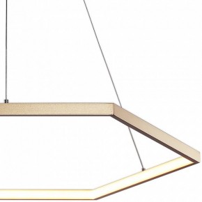 Подвесной светильник Favourite Hexagon 2103-6P в Озерске - ozersk.mebel24.online | фото 3