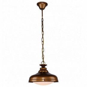 Подвесной светильник Favourite Laterne 1330-1P1 в Озерске - ozersk.mebel24.online | фото 2