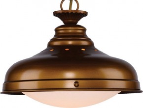 Подвесной светильник Favourite Laterne 1330-1P1 в Озерске - ozersk.mebel24.online | фото 3