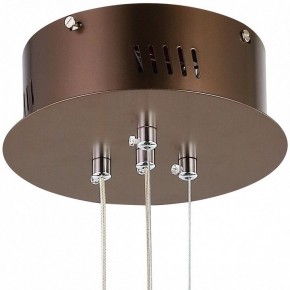 Подвесной светильник Favourite Saturn 2102-2P в Озерске - ozersk.mebel24.online | фото 5