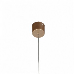 Подвесной светильник Favourite Somnium 2236-1P в Озерске - ozersk.mebel24.online | фото 4