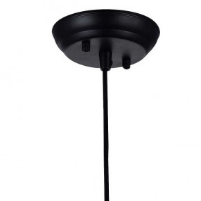 Подвесной светильник Favourite Strainer 1788-1P в Озерске - ozersk.mebel24.online | фото 3