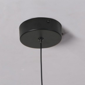 Подвесной светильник Favourite Wilet 4656-1P в Озерске - ozersk.mebel24.online | фото 10