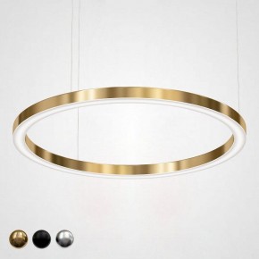 Подвесной светильник Imperiumloft Light Ring Horizontal 40.1454-120 в Озерске - ozersk.mebel24.online | фото