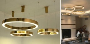 Подвесной светильник Imperiumloft Light Ring Horizontal 40.1454-50 в Озерске - ozersk.mebel24.online | фото 2