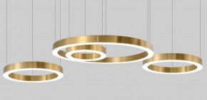 Подвесной светильник Imperiumloft Light Ring Horizontal 40.1454-60 в Озерске - ozersk.mebel24.online | фото 3