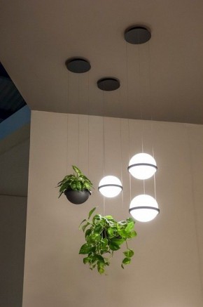 Подвесной светильник Imperiumloft Palma Wall Lamp 22.93727 в Озерске - ozersk.mebel24.online | фото 4