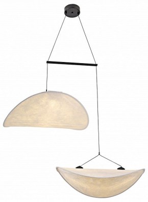 Подвесной светильник Kink Light Брами 08022-60+60,01 в Озерске - ozersk.mebel24.online | фото