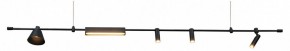 Подвесной светильник Kink Light Ристо 07616-180L,19 в Озерске - ozersk.mebel24.online | фото