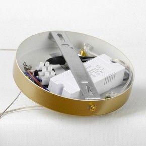 Подвесной светильник LGO Wave LSP-7216 в Озерске - ozersk.mebel24.online | фото 6