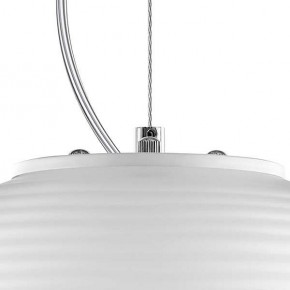 Подвесной светильник Lightstar Arnia 805011 в Озерске - ozersk.mebel24.online | фото 6