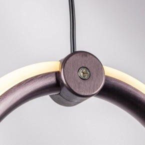 Подвесной светильник Lightstar Caramello 796289 в Озерске - ozersk.mebel24.online | фото 10