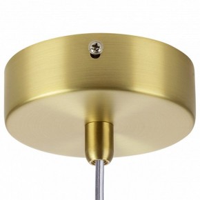 Подвесной светильник Lightstar Colore 805306 в Озерске - ozersk.mebel24.online | фото 7