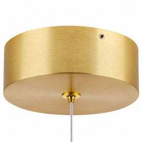 Подвесной светильник Lightstar Colore 805403 в Озерске - ozersk.mebel24.online | фото 7
