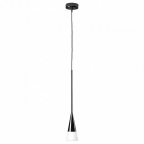 Подвесной светильник Lightstar Conicita 804117 в Озерске - ozersk.mebel24.online | фото 2
