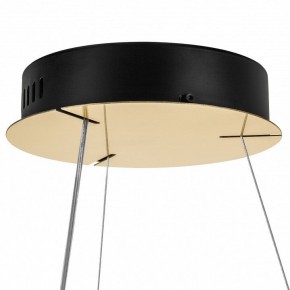 Подвесной светильник Lightstar Helio 703163 в Озерске - ozersk.mebel24.online | фото 7