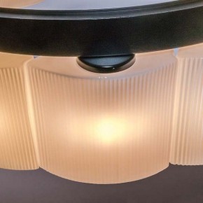 Подвесной светильник Lightstar Nibbler 812186 в Озерске - ozersk.mebel24.online | фото 10