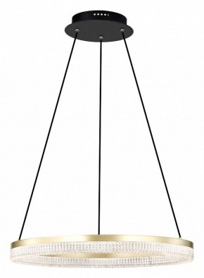 Подвесной светильник Lightstar Rotonda 736161 в Озерске - ozersk.mebel24.online | фото 2