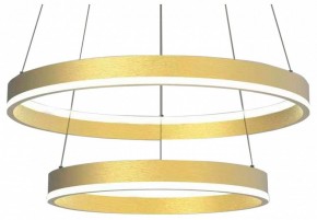 Подвесной светильник Lightstar Rotonda 736422 в Озерске - ozersk.mebel24.online | фото