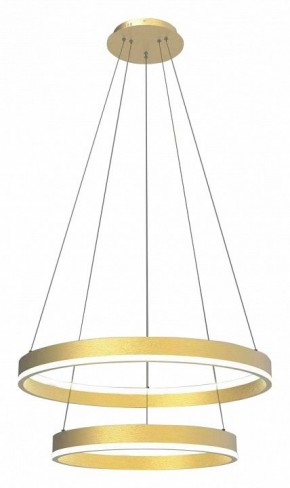Подвесной светильник Lightstar Rotonda 736422 в Озерске - ozersk.mebel24.online | фото 2