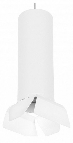 Подвесной светильник Lightstar Rullo RP6496486 в Озерске - ozersk.mebel24.online | фото 1