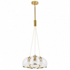Подвесной светильник Lightstar Sferico 729031 в Озерске - ozersk.mebel24.online | фото 2