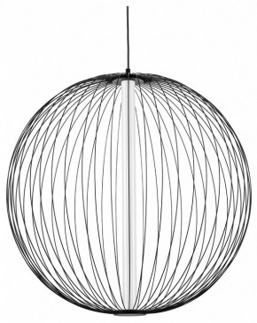 Подвесной светильник Lightstar Sole 734067 в Озерске - ozersk.mebel24.online | фото