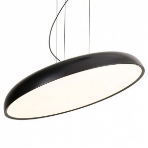 Подвесной светильник Lussole Crook LSP-7360 в Озерске - ozersk.mebel24.online | фото