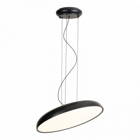 Подвесной светильник Lussole Crook LSP-7360 в Озерске - ozersk.mebel24.online | фото 2