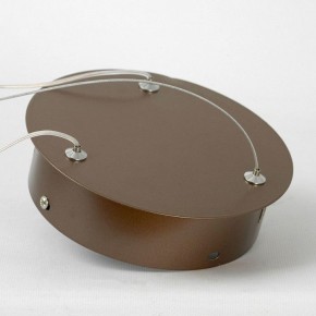 Подвесной светильник Lussole Dade LSP-7250 в Озерске - ozersk.mebel24.online | фото 5