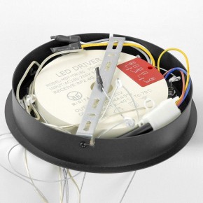 Подвесной светильник Lussole Hale LSP-7380 в Озерске - ozersk.mebel24.online | фото 6