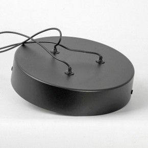 Подвесной светильник Lussole Taylor LSP-7235 в Озерске - ozersk.mebel24.online | фото 6