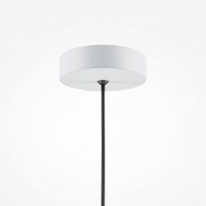 Подвесной светильник Maytoni Basic colors MOD168PL-01W в Озерске - ozersk.mebel24.online | фото 5