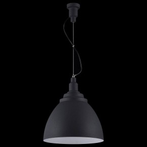 Подвесной светильник Maytoni Bellevue P535PL-01B в Озерске - ozersk.mebel24.online | фото 3