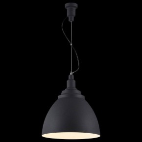 Подвесной светильник Maytoni Bellevue P535PL-01B в Озерске - ozersk.mebel24.online | фото 4