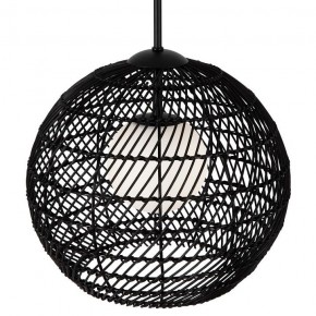 Подвесной светильник Maytoni CANE MOD204PL-01B1 в Озерске - ozersk.mebel24.online | фото 2