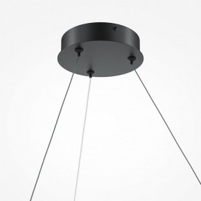 Подвесной светильник Maytoni Curve MOD242PL-L33BK в Озерске - ozersk.mebel24.online | фото 5