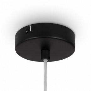 Подвесной светильник Maytoni Duality MOD271PL-01B9 в Озерске - ozersk.mebel24.online | фото 10