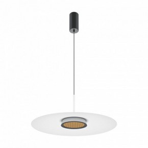Подвесной светильник Maytoni Halo MOD041PL-L15W3K1 в Озерске - ozersk.mebel24.online | фото 2