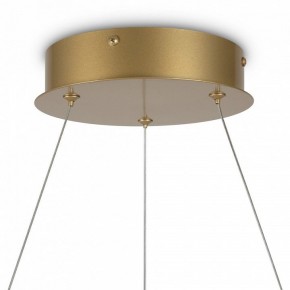 Подвесной светильник Maytoni Halo MOD100PL-L88BSK1 в Озерске - ozersk.mebel24.online | фото 6