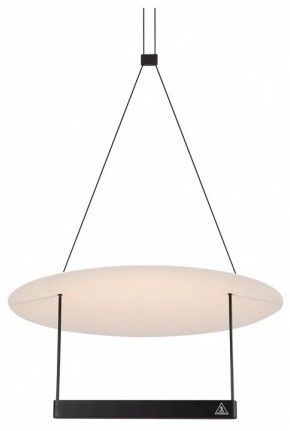 Подвесной светильник Maytoni Halo MOD280PL-L23B3K в Озерске - ozersk.mebel24.online | фото
