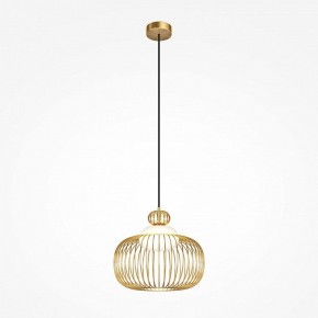 Подвесной светильник Maytoni Levitation MOD376PL-01G в Озерске - ozersk.mebel24.online | фото 2