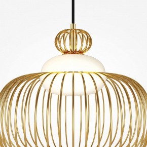 Подвесной светильник Maytoni Levitation MOD376PL-01G в Озерске - ozersk.mebel24.online | фото 6