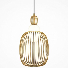 Подвесной светильник Maytoni Levitation MOD376PL-01G1 в Озерске - ozersk.mebel24.online | фото