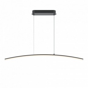 Подвесной светильник Maytoni Light Reflection MOD243PL-L18BK в Озерске - ozersk.mebel24.online | фото 2